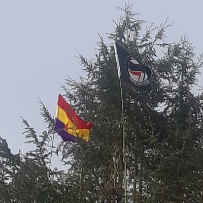 De Esquerdas , nacionalista , Republicano, Feminista e sempre Antifascista. Si non che gusta pasa de largo e non molestes. ♥️💛💜💜💜🔻