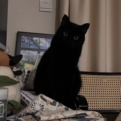 coisini25's profile picture. Wubba lubba dub dub。