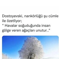 ZEROŞ KÜPEK (@goc_uslu) 's Twitter Profile