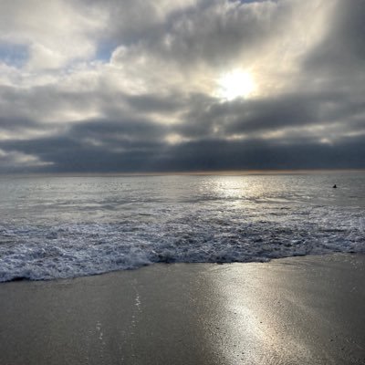 ladylynne99's profile picture. 