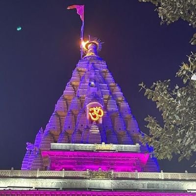 SakshiP75940444's profile picture. 