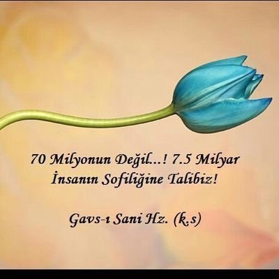 Yâr .. ks .. .. 🥀 Öylesine değil, ölesiye ölüpde göresiye . . . @HasemiErol 🌹