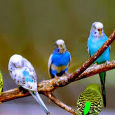 alielgmal192883's profile picture. 