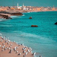 سلطان (@alsultan20201) Twitter profile photo