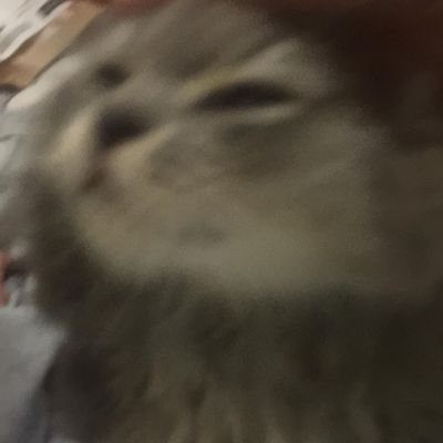 psucre272's profile picture. 