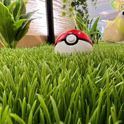 MAC405next's profile picture. 横浜、川崎周辺で主にポケカしてます。出会った方フォローしていただけると嬉しいです。 2024 s4 ベスト4 │ 2025 s1 準優勝