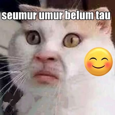 KamsinaNuban's profile picture. Menanti