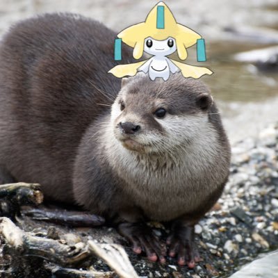 kawausooooco's profile picture. ジパングの馬鹿