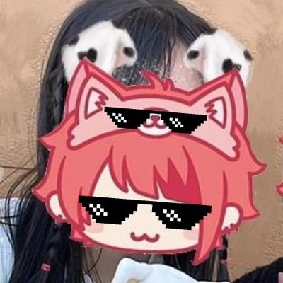 ねこねこさんのプロフィール画像