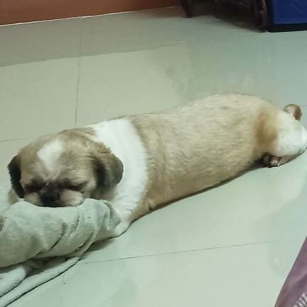 T_K99999's profile picture. 