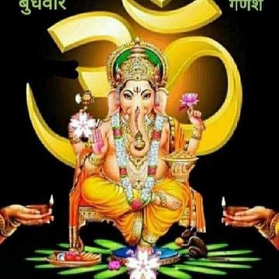 beposit45181737's profile picture. 