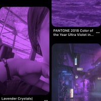 omnia taha (@toxic_omnia5) 's Twitter Profile