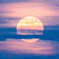 Alejandro (@mr_bloste) 's Twitter Profile
