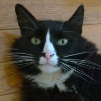poisecounts (@poisecounts1) 's Twitter Profile Photo poisecounts (@poisecounts1) 's Twitter Profile Photo