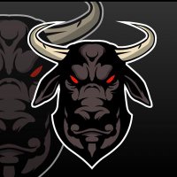 OptimusBull (🥷🥷)(@OptimusBull_) 's Twitter Profile Photo