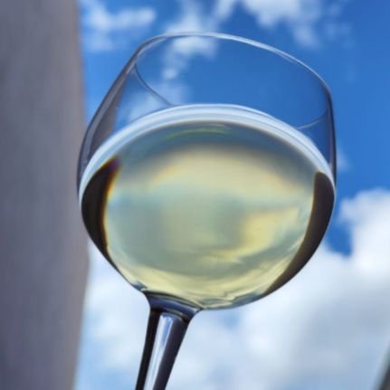 Lola_wine_'s profile picture. 