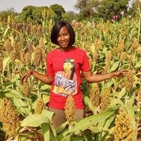 Elielle Cherifa Zerbo (@cherifa_zerbo) 's Twitter Profile