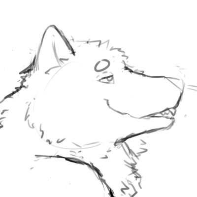 dogmudslop's profile picture. 20. secret scat account of some dude. sometimes i upload scat and DL when i feel like it. 🔞