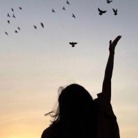 🥇 (@lighting_2030) 's Twitter Profile