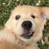 fahspne's profile picture. ʏᴏᴜ'ʟʟ ᴀʟᴡᴀʏs ʙᴇ ᴍʏ ғᴀᴠᴏʀɪᴛᴇ ♚.