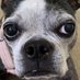 Real (@bissssssszz) Twitter profile photo Real (@bissssssszz) Twitter profile photo