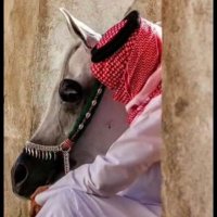 الحربي⚚ (@f_2f7) 's Twitter Profile