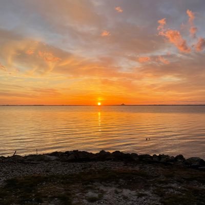 SarahHo77237804's profile picture.