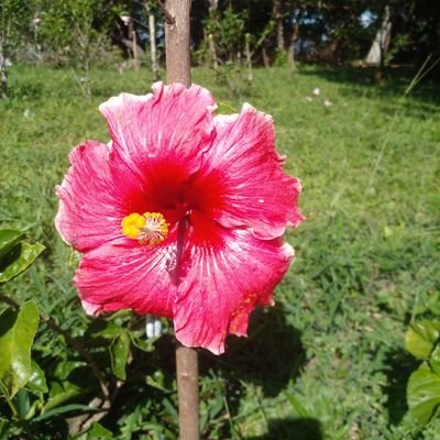 AbrahamVel24260's profile picture. 