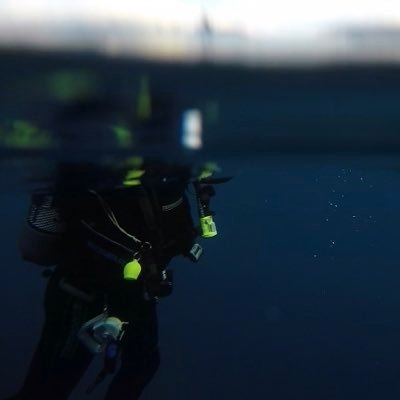 margotpaggi's profile picture. 