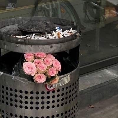 qcnani's profile picture. 