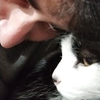 gastoncin's profile picture. 