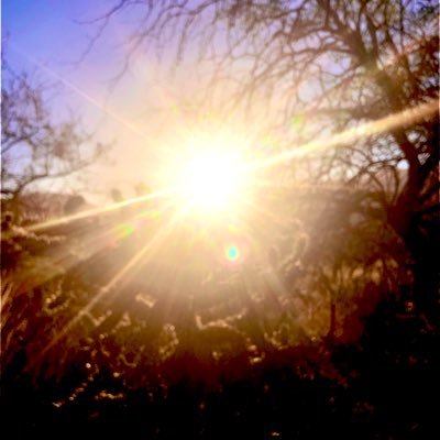 Krismarie4716's profile picture. #TWD National Suicide hotline Text/Call 988 No DMs. The Trevor Project lifeline: 1-866-488-7386