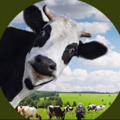 Devin Nunes’ cow 🐮 Profile