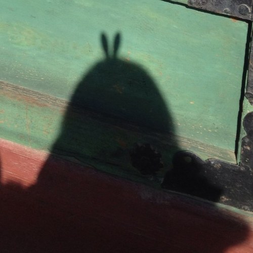 YaewonKim's profile picture. 인생은 아름다워