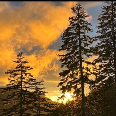 j_divine99's profile picture. LEO ♌️ | frontend developer | renewable engineer | Web3