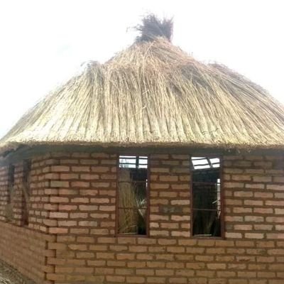 FibuNwa1's profile picture. 