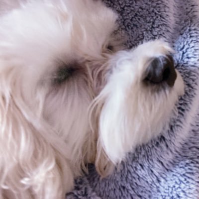 中村さんのプロフィール画像