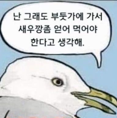 서사만본다고말했다방금