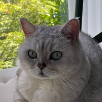 Adam (@welladam) 's Twitter Profile