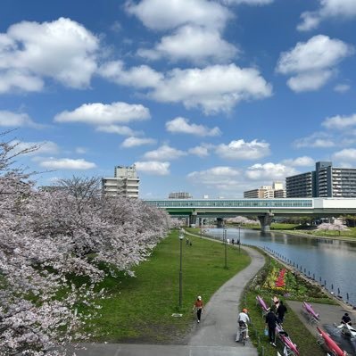 おだやかな川の流れと対岸に広がる林🌲。開放的な空間と美味しい珈琲☕️。週末には水陸両用バスが通る🚌。他にはない時間と空間を体感できる江東旧中川水彩パークです。北欧🇸🇪や江戸🪭を感じるマーケット、川辺の景観🌼を一緒につくる仲間を募集中‼️