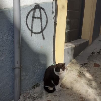 Archaeology & Anarchism