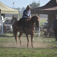 Alejo Frias (@alejofrias11) 's Twitter Profile