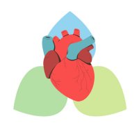 VMFH Cardiovascular Fellowship(@VMFHCards) 's Twitter Profile Photo