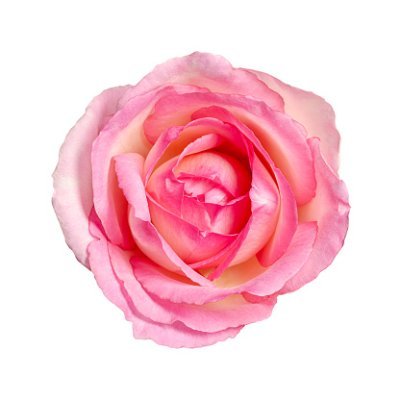 sdsa2's profile picture. 