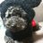 nao_marka's profile image