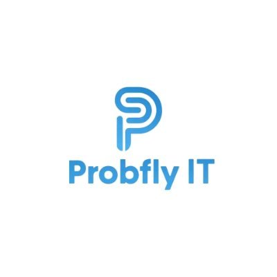 probflyit Profile Picture