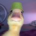 david (@david_fern503) Twitter profile photo david (@david_fern503) Twitter profile photo