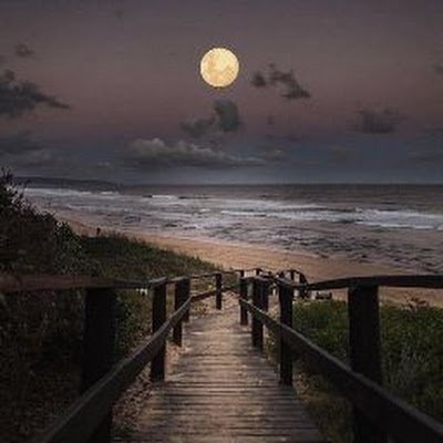 DPrevaris61010's profile picture. 