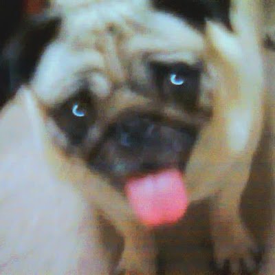 koto_sak98448's profile picture. 