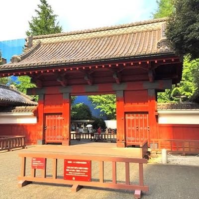 【五月祭　理一27組】赤門わたあめさんのプロフィール画像